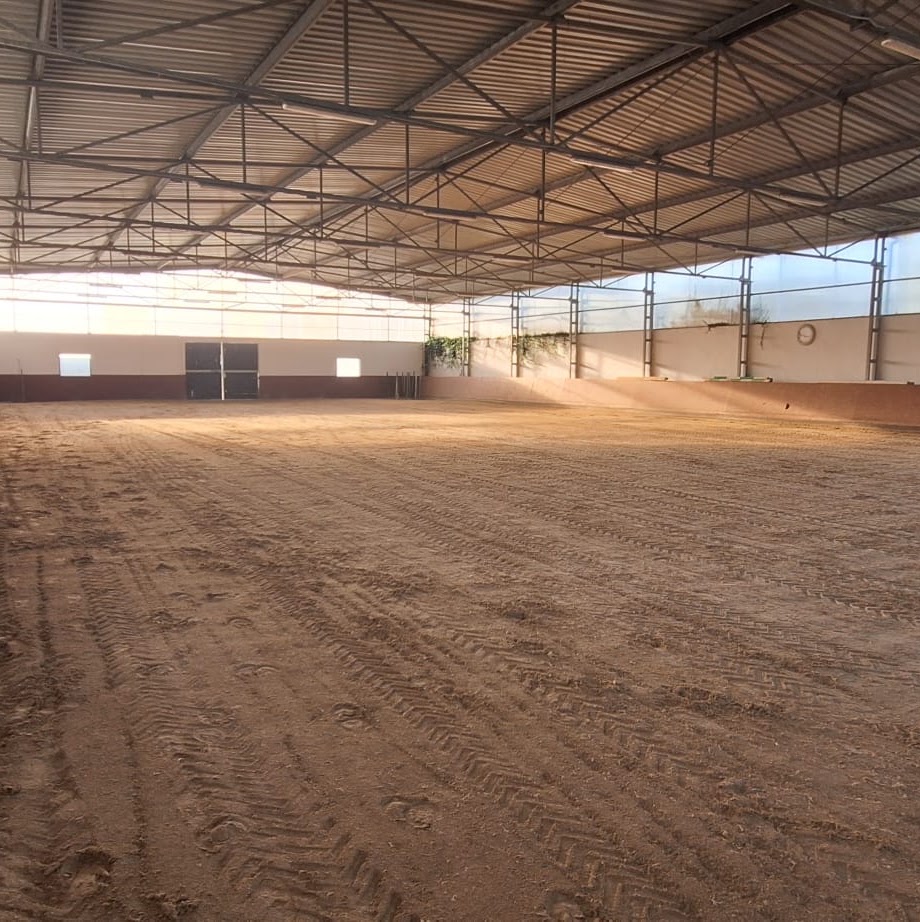 Zdjęcie stajni Stadniny Gozdów